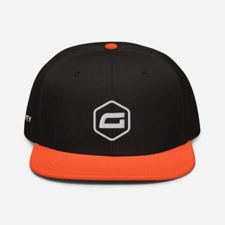 Gravity Snapback Hat 2