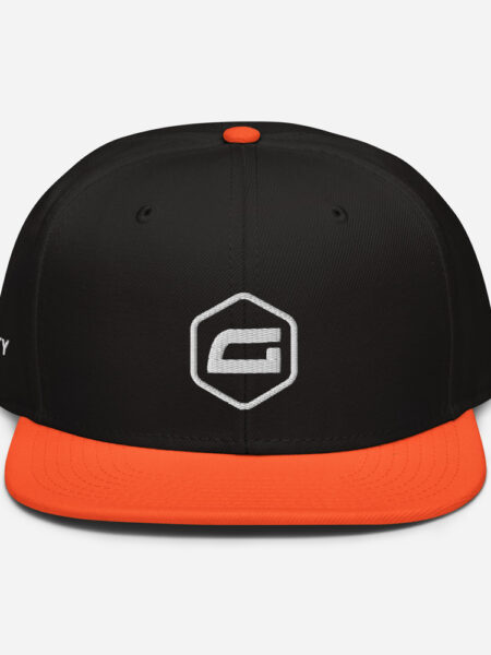 Gravity Snapback Hat 2